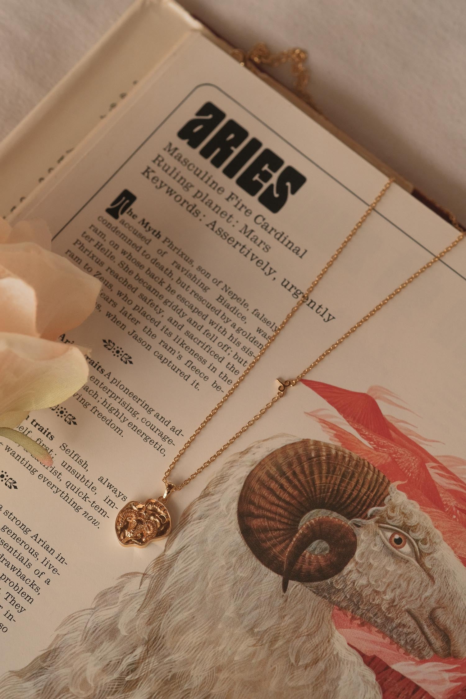 Aries II Zodiac Necklace - Image 3