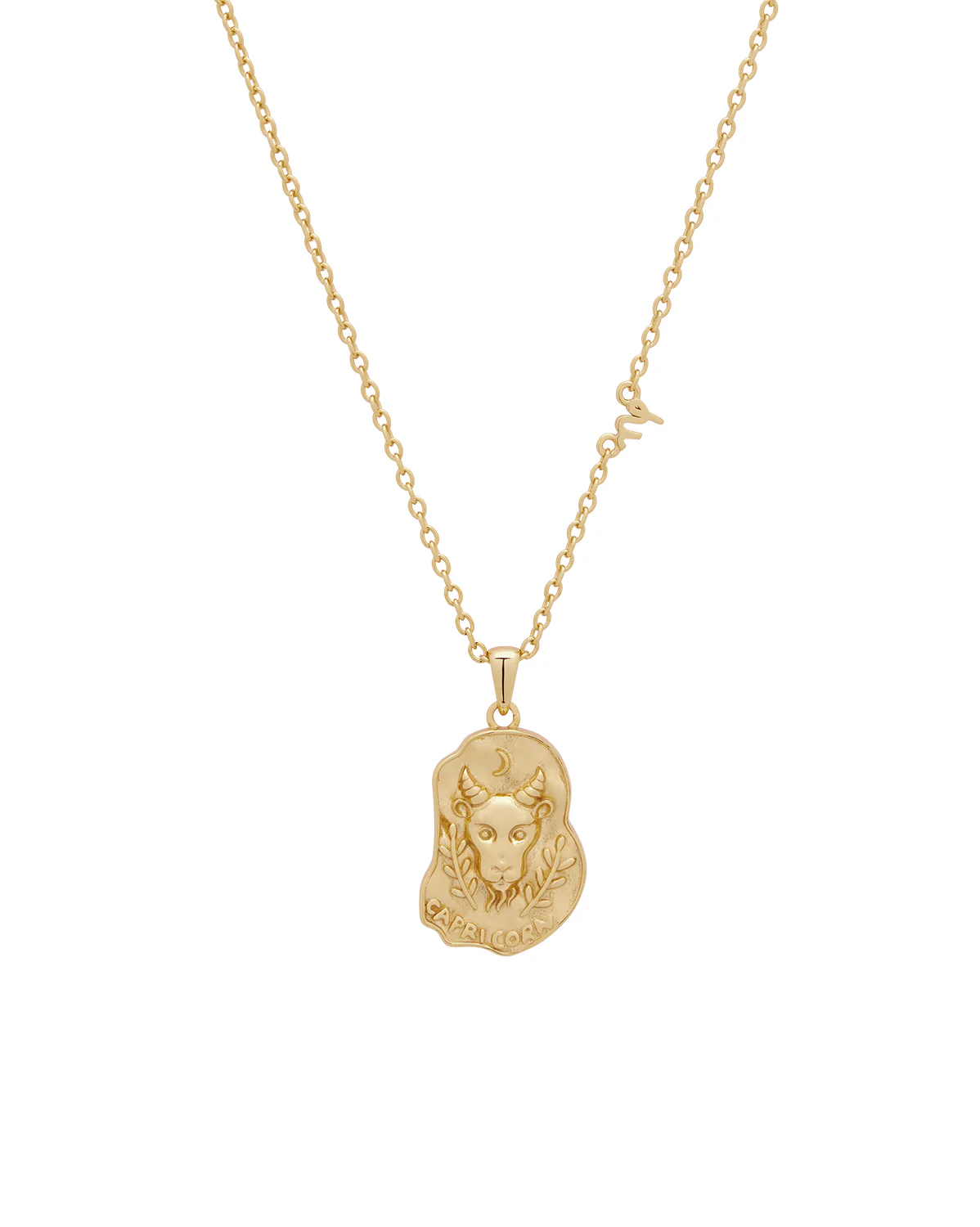 Capricorn II Zodiac Necklace