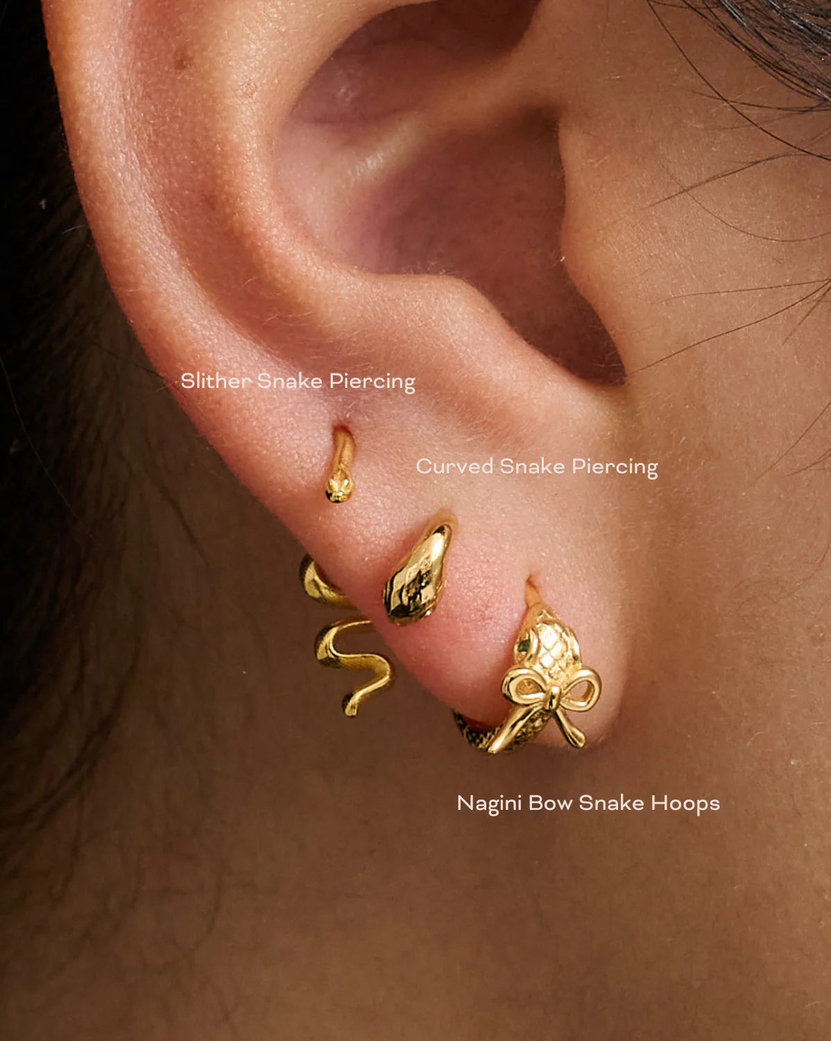 Curved Snake Piercing - Image 2
