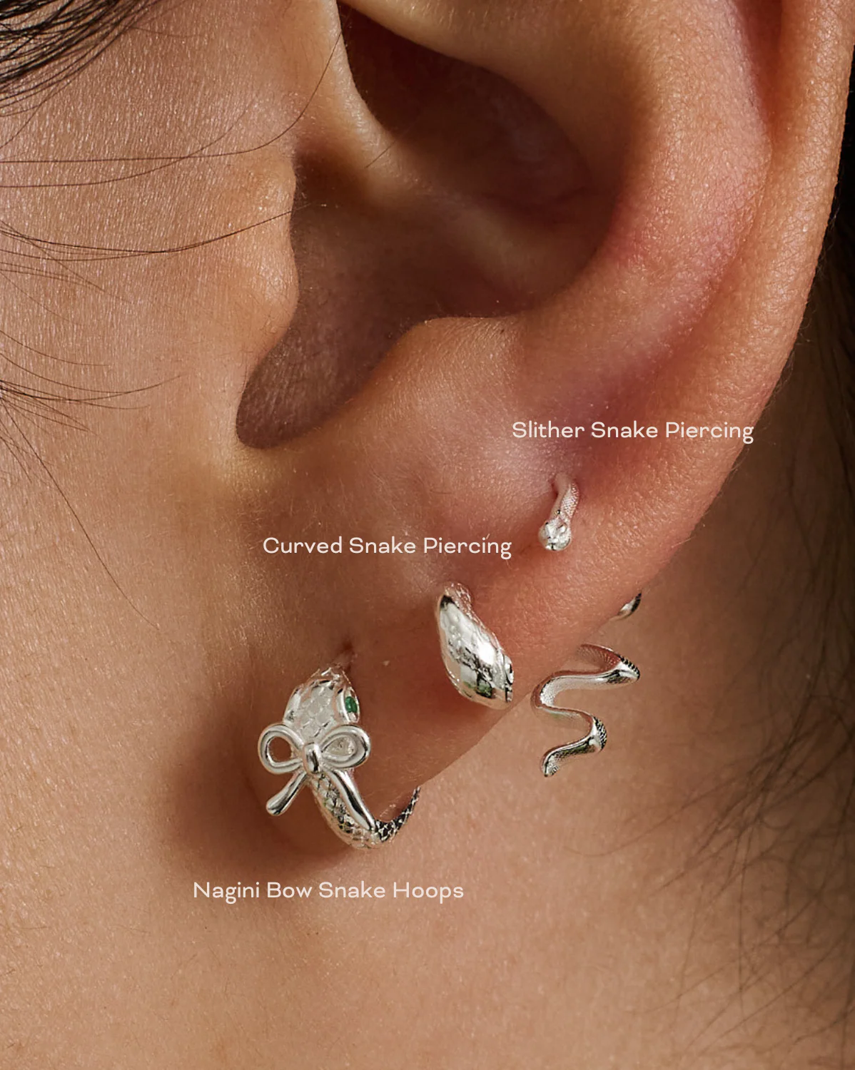 Curved Snake Piercing - Sterling Silver - Image 2