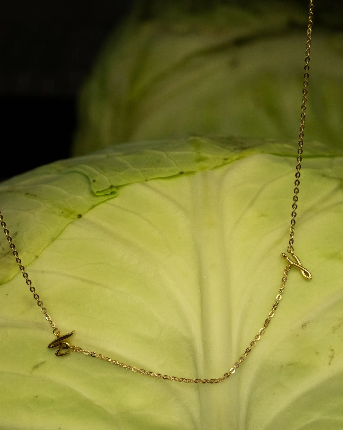 Custom Cursive Initial Necklace (up to 7 letters) - Image 5