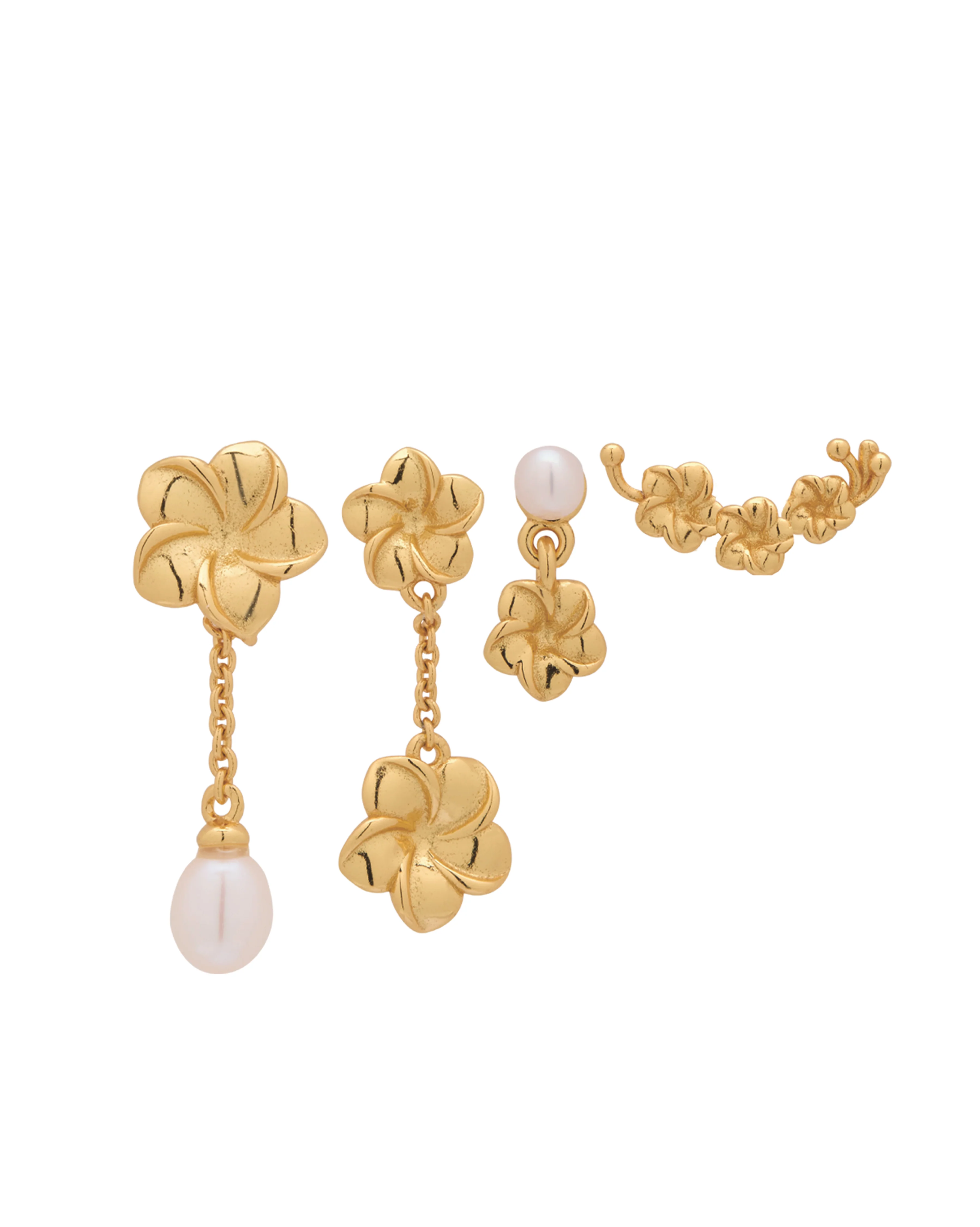 Hibiscus Flowers Earrings Set