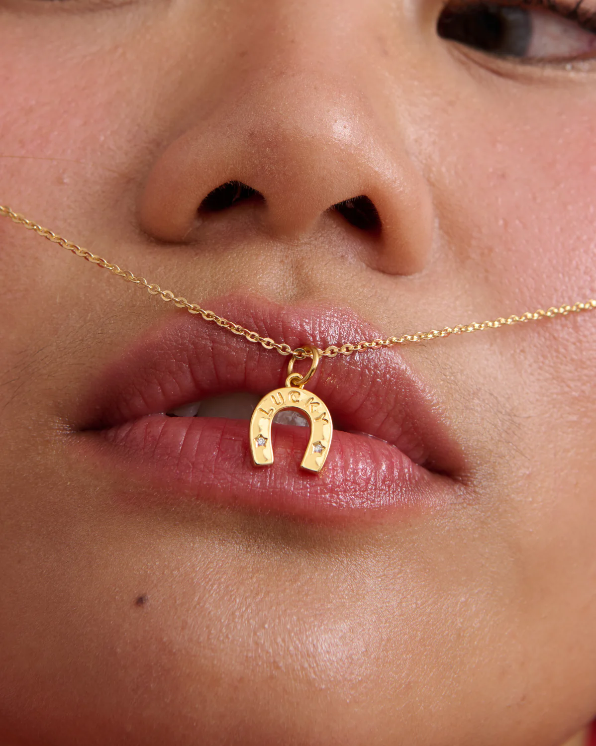 Horseshoe Charm - Image 3