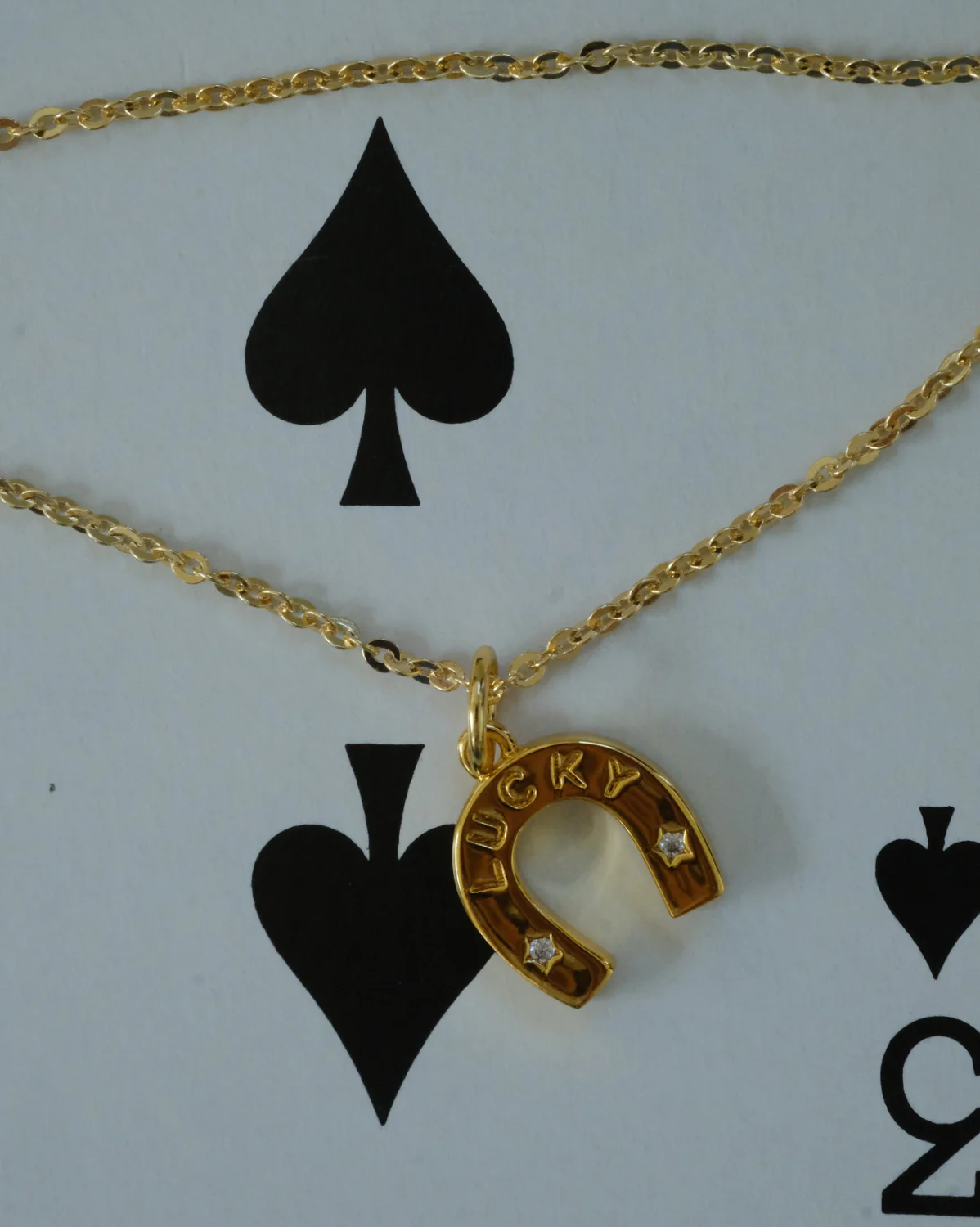 Horseshoe Charm - Image 5