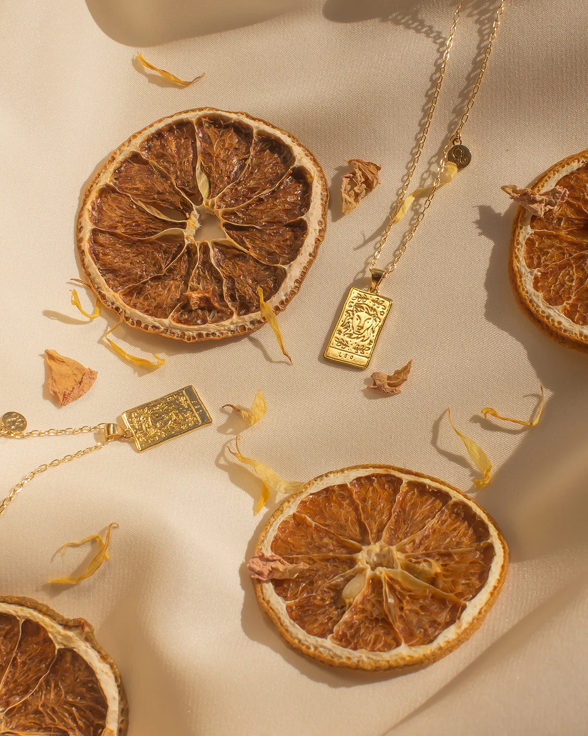 Leo Zodiac Necklace - Image 6