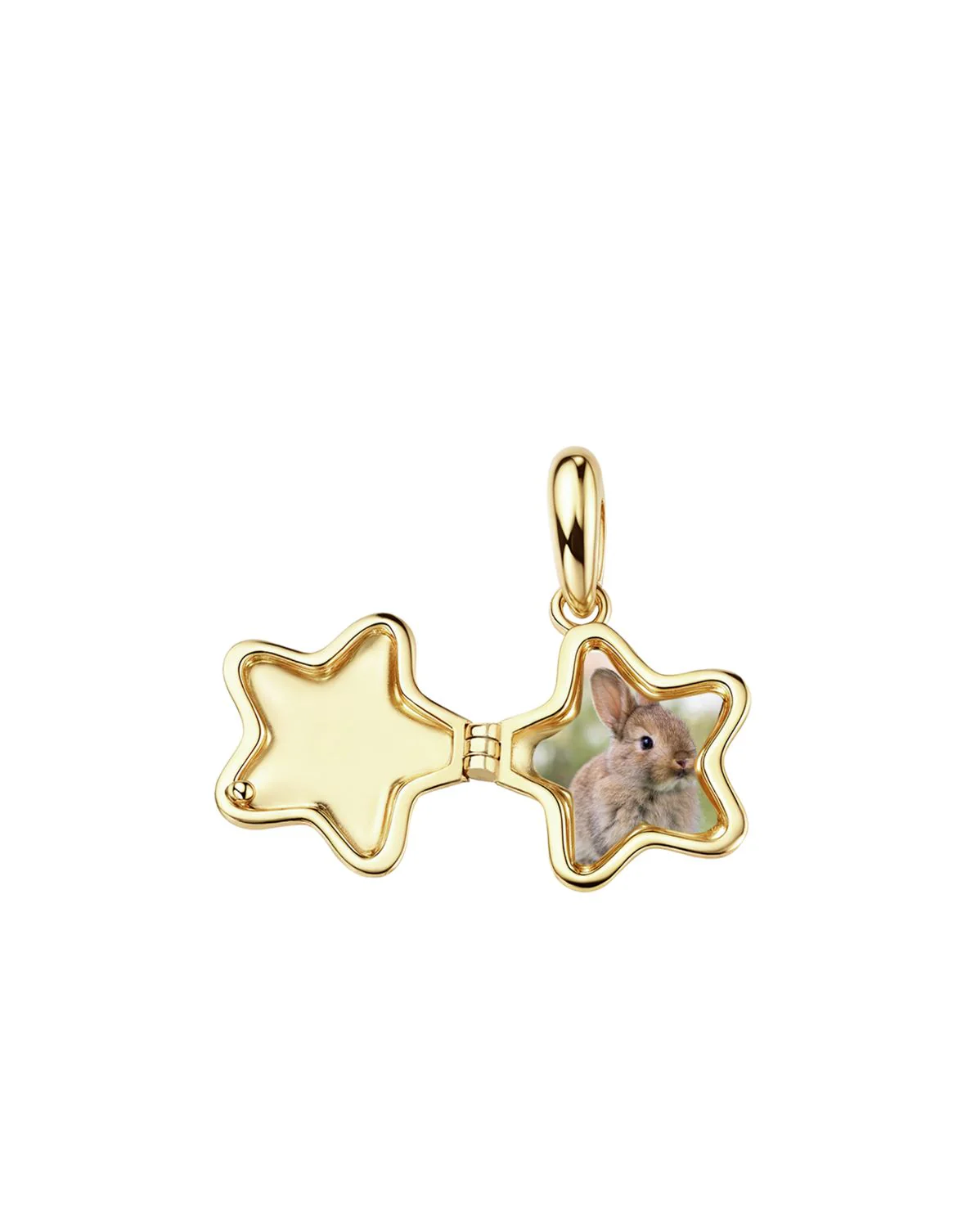 Polly’s Star Engravable Locket Necklace - Image 11