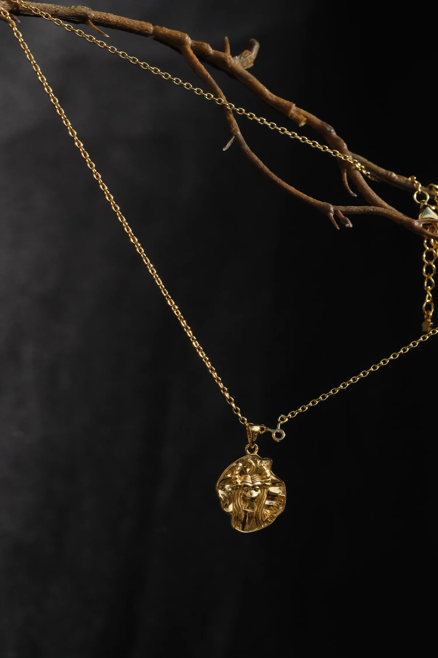 Taurus II Zodiac Necklace - Image 9
